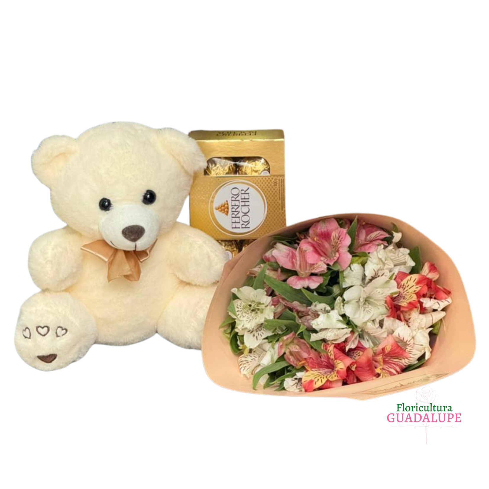 Kit de Astrom�lias - Little Bear 