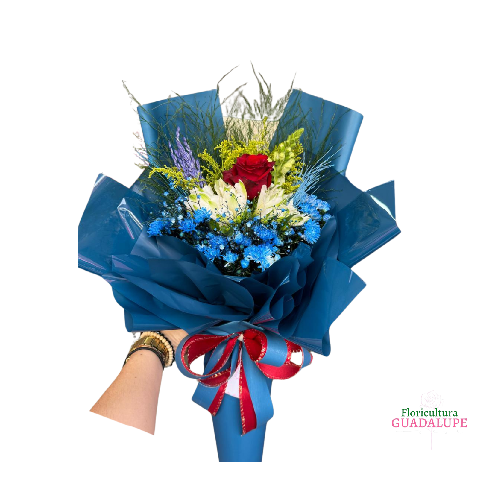 Rosa Unitria - Blue Edition