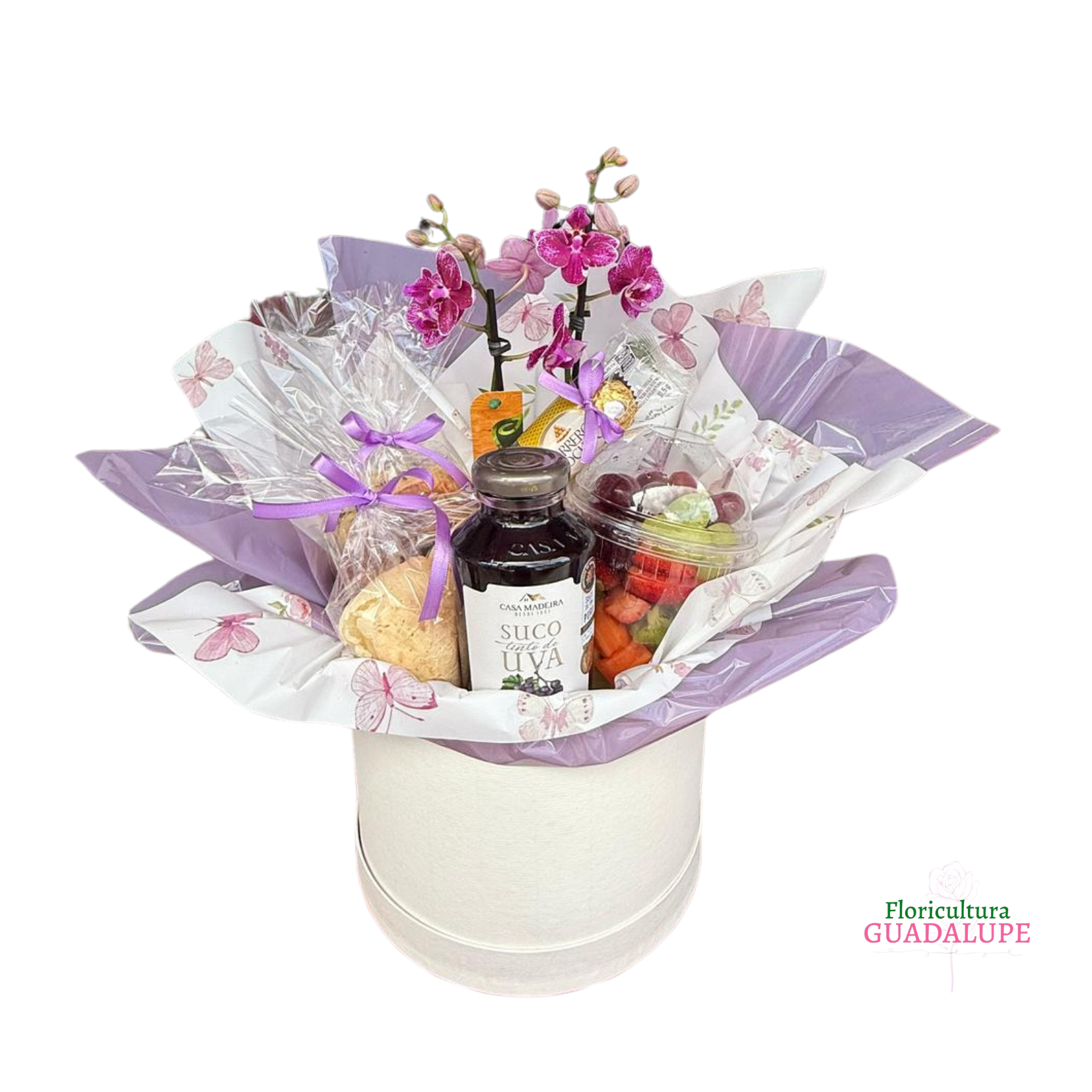 Mini Box Caf - Purple Editiomn