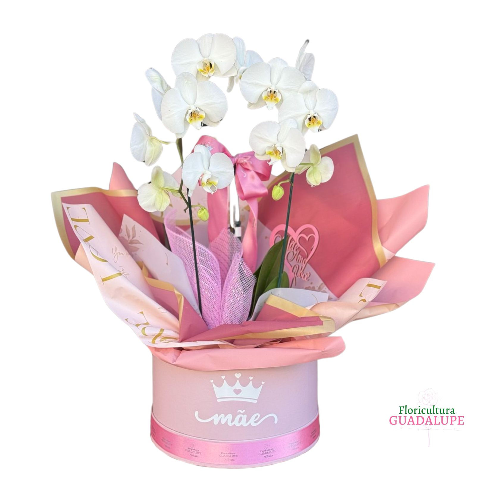 Box Luxo Orqudea - Amor Sem Fim