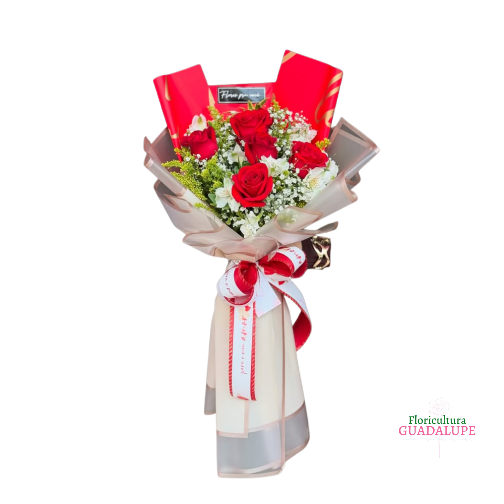 Buqu� Coreano Glan - Red Edition