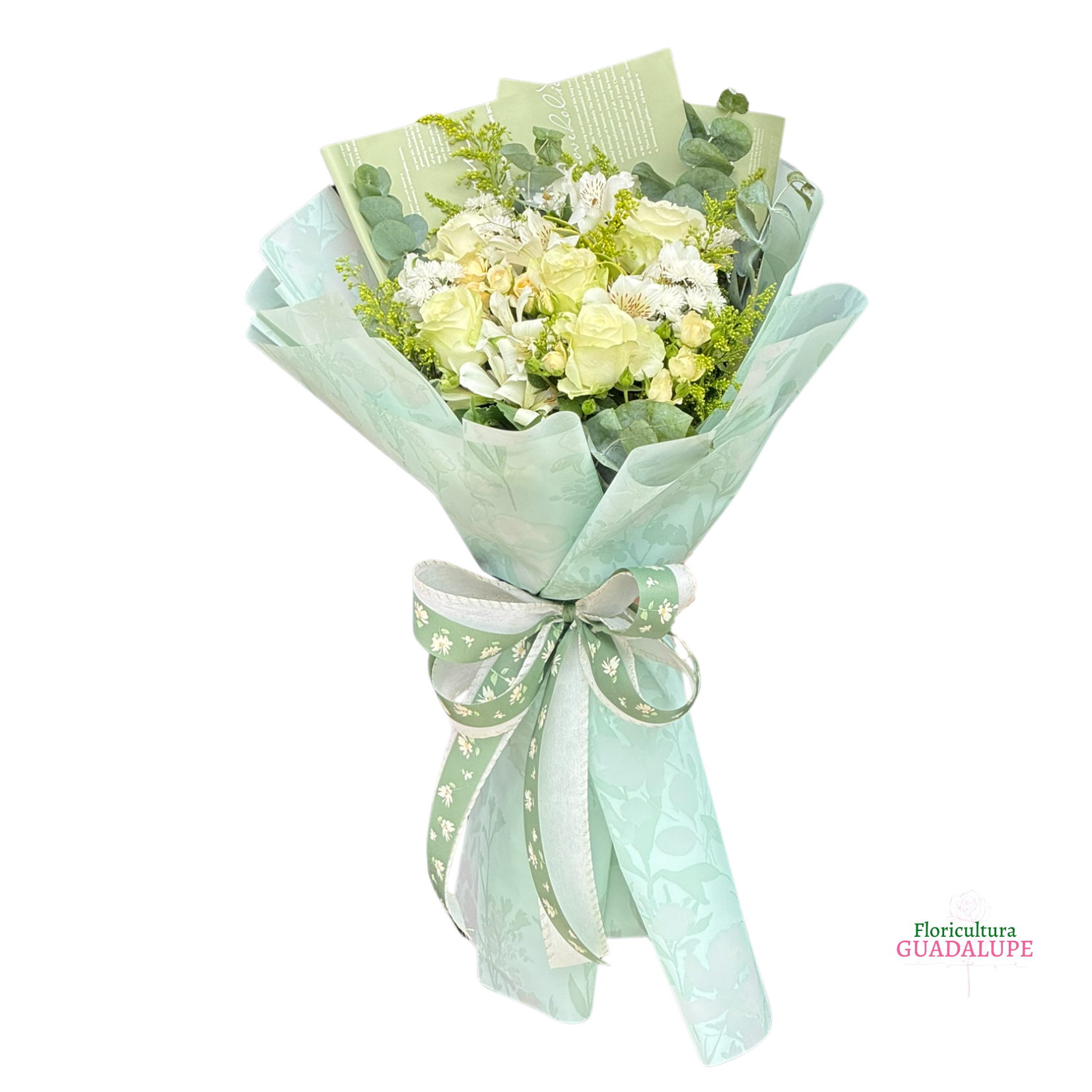 Buqu� Coreano Glan - White Edition