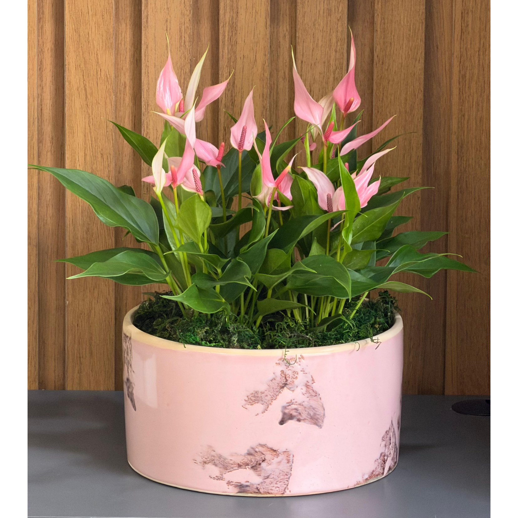 Arranjo de L�rios Cor de Rosa em Bacia
