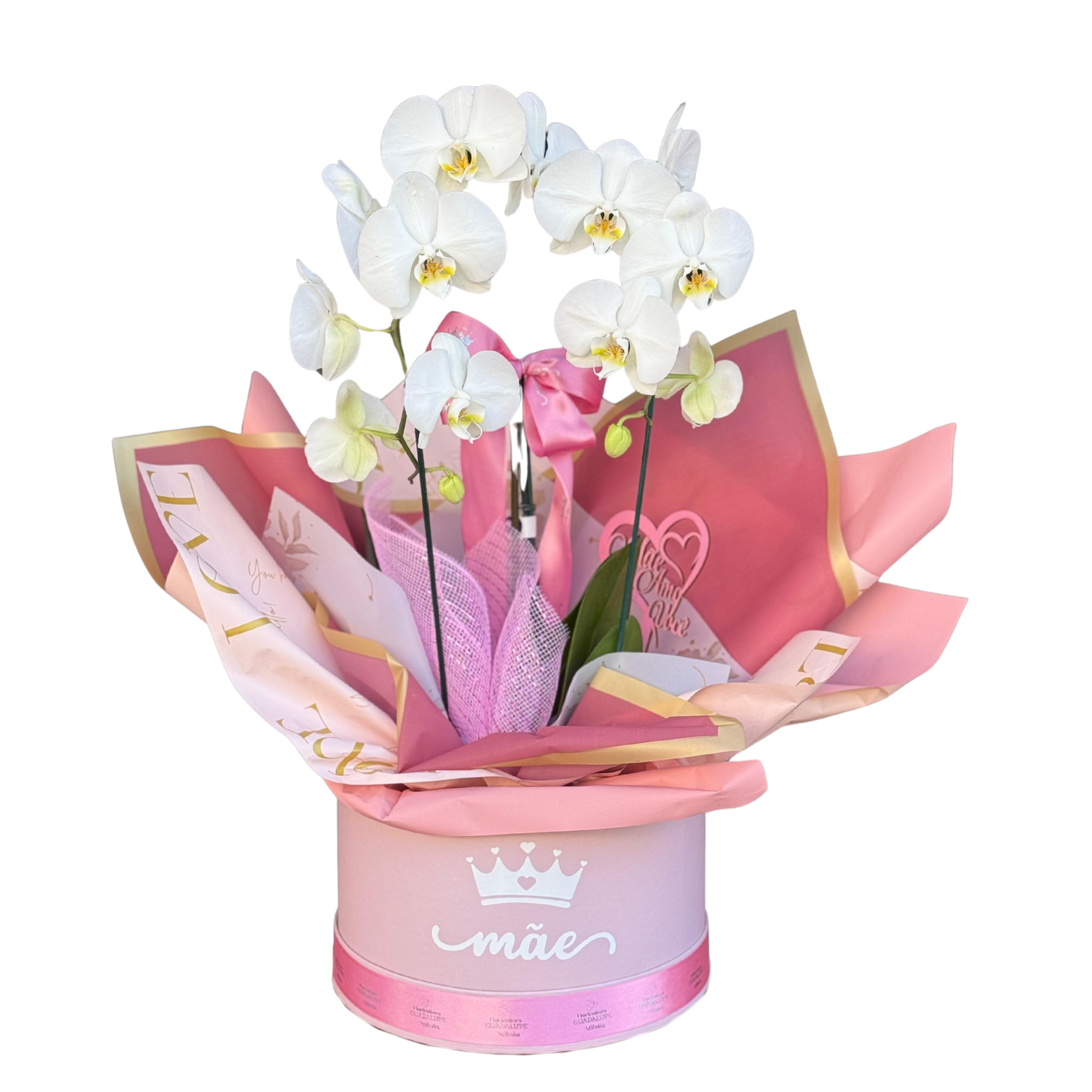 Box Orqu�dea de Luxo